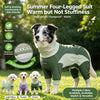A dog wearing a green and beige summer four-legged suit outdoors.