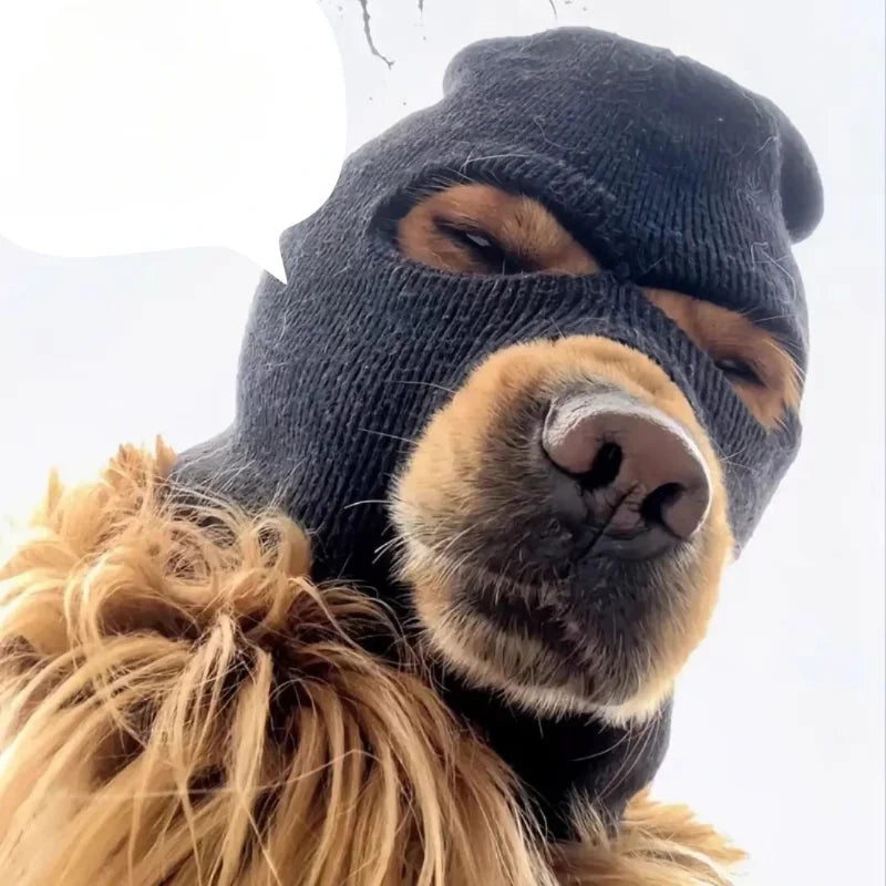 A dog wearing a black knitted mask accessory covering its eyes and nose.