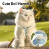 A fluffy white cat wearing a light blue dog harness and leash outdoors.