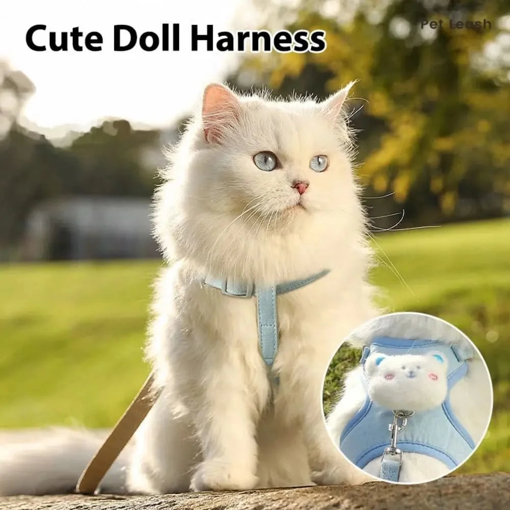 A fluffy white cat wearing a light blue dog harness and leash outdoors.