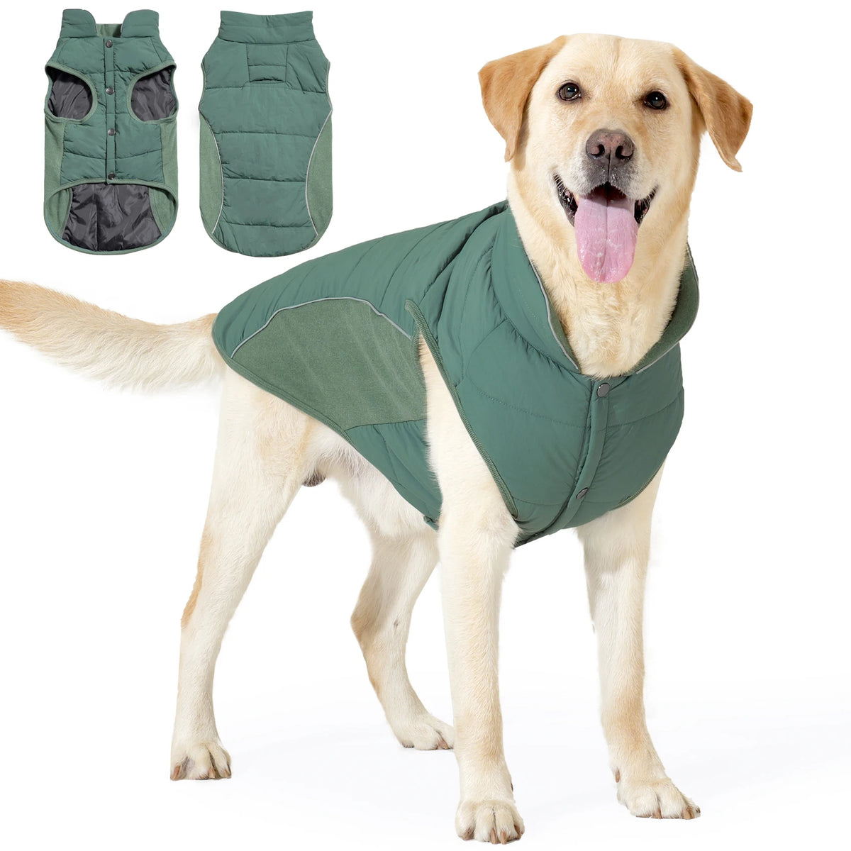 A golden retriever wearing a green waterproof dog coat with a fleece lining.