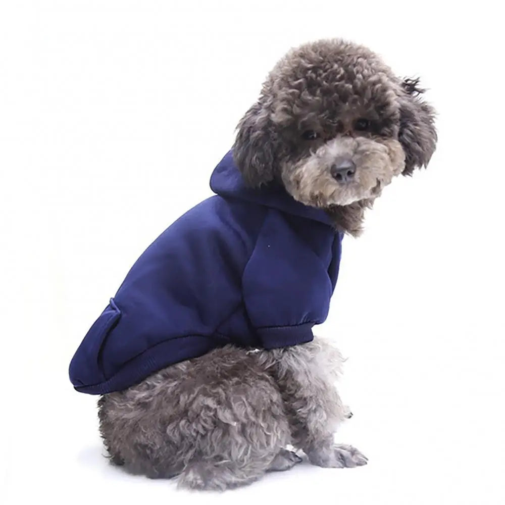 A small, fluffy grey dog wearing a navy blue hooded sweatshirt.