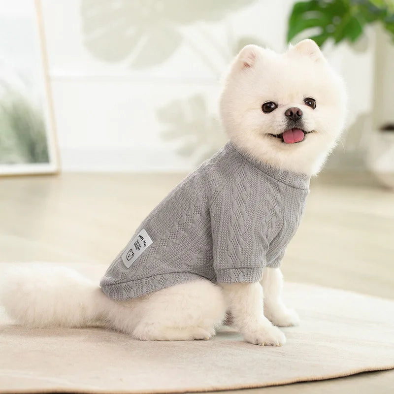 A fluffy white dog wearing a gray knitted winter sweater, lying down on a light surface.