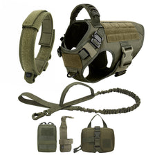A heavy duty tactical dog harness with a padded vest and molli pouch system shown in various components.