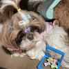 A light brown and white dog with long fur is lying down, wearing several bone-shaped hair clips on its head.