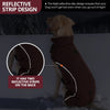 A brown dog wearing a reflective strip design winter coat outdoors.