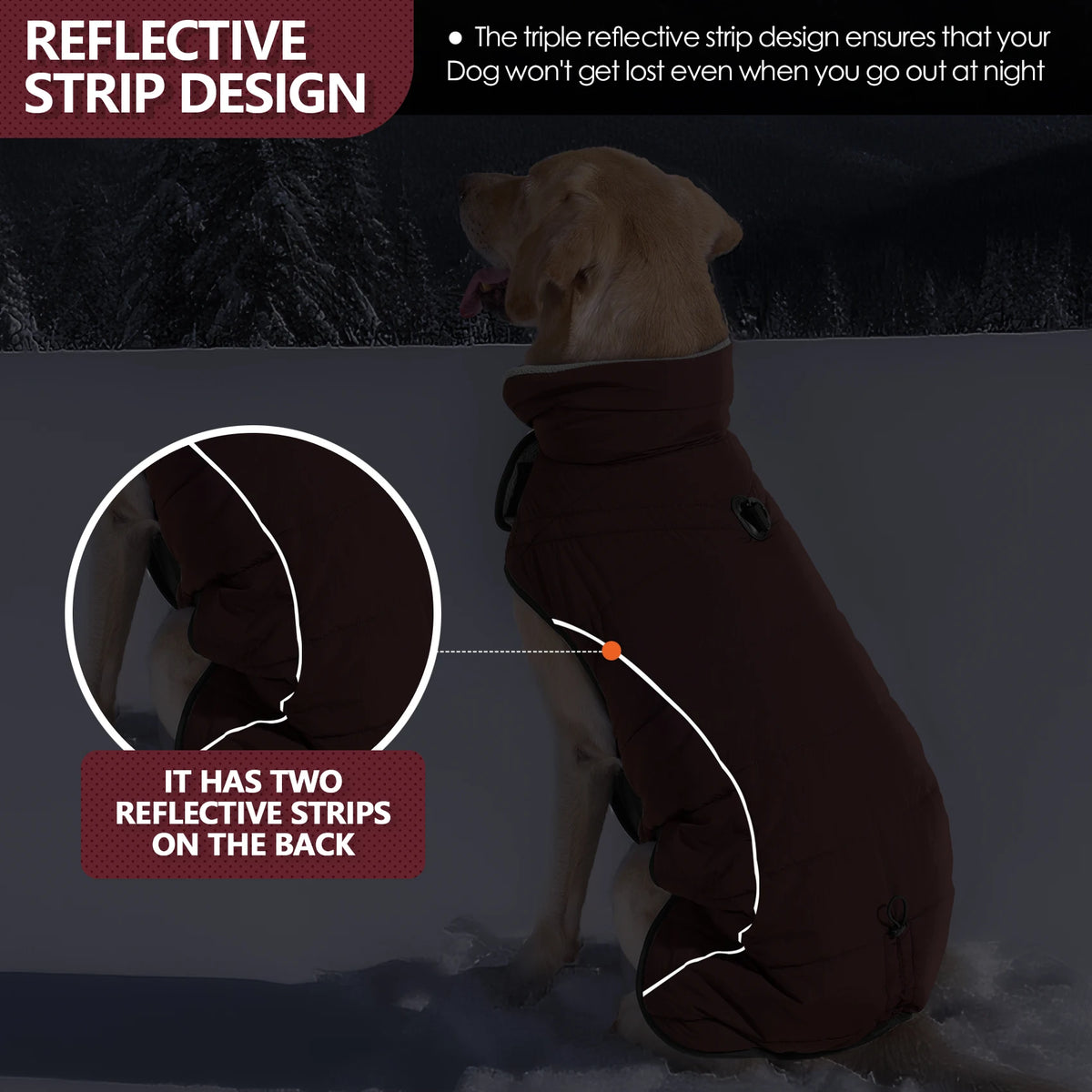 A brown dog wearing a reflective strip design winter coat outdoors.