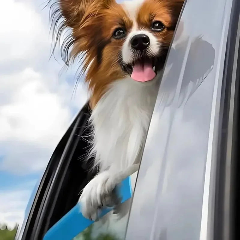 A brown and white dog is resting its chin on a car window, using an EVA foam cushion for support.