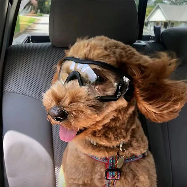 A fluffy brown dog wearing black eye protection sunglasses inside a car.