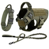 A tan dog harness and leash set with padded straps and buckles shown in various views.