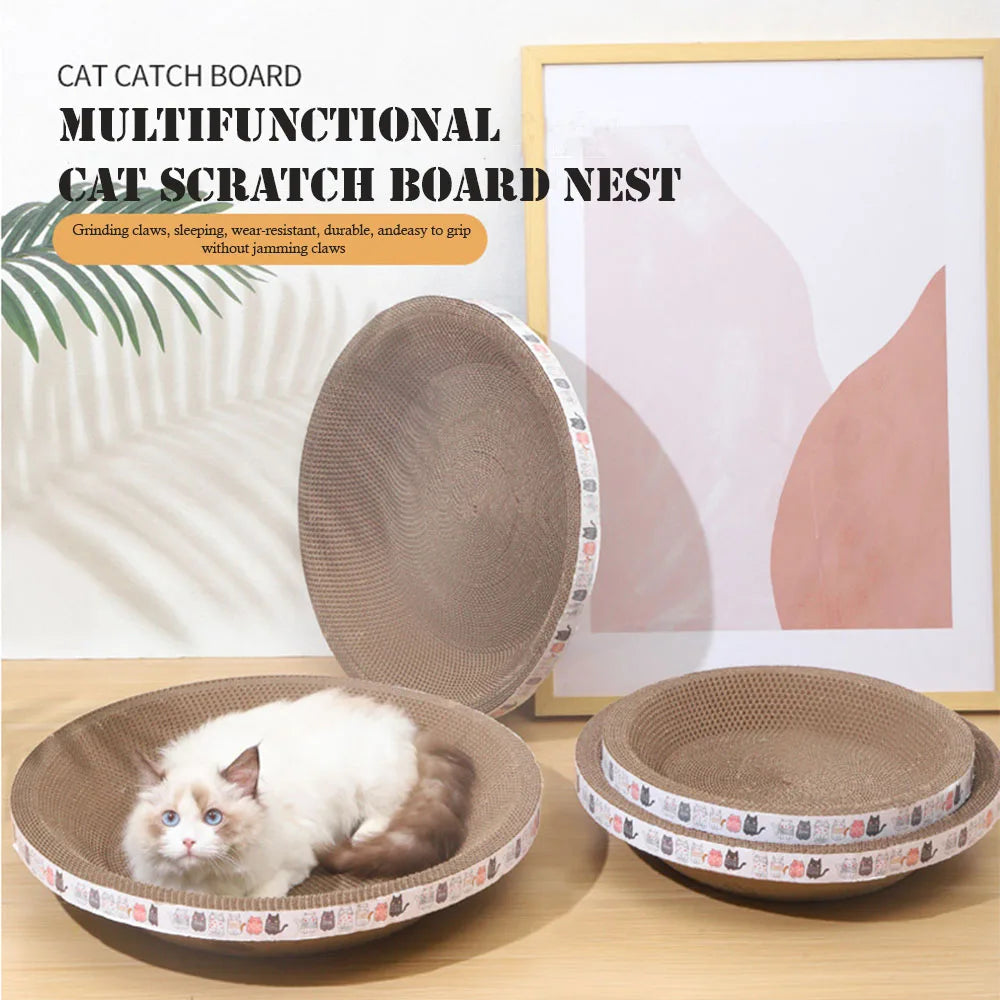 A bowl-shaped corrugated cat scratch board nest with a white kitten resting inside.
