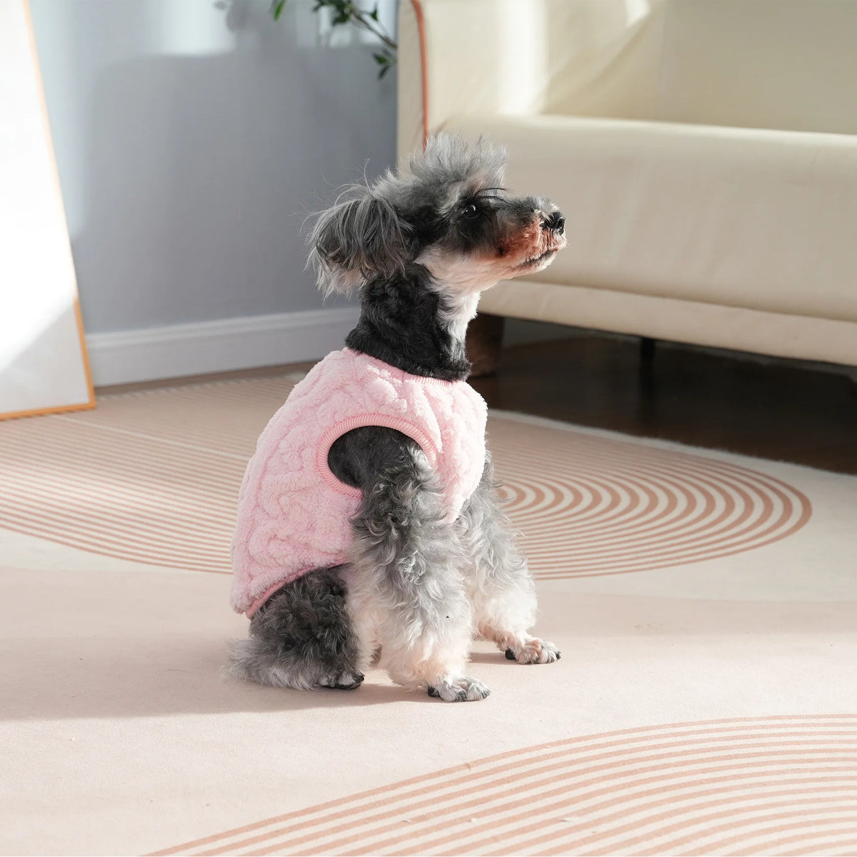 A small, fluffy gray dog wearing a pink fleece sweater sitting on a light rug.