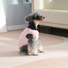 A small, fluffy gray dog wearing a pink fleece sweater sitting on a light rug.