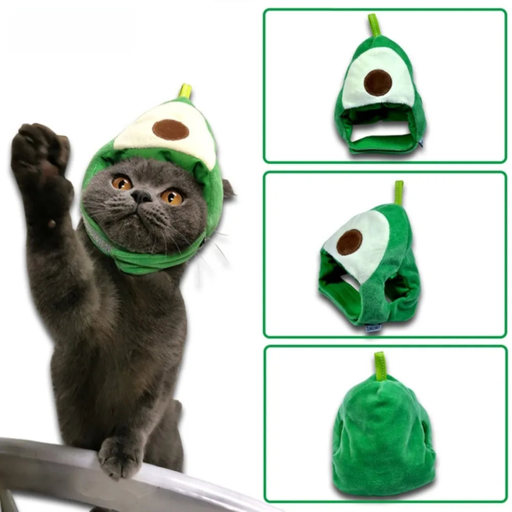 A gray cat is wearing a green fruit-shaped hat for pets, shown alongside multiple product views.