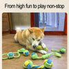 A dog toy featuring colorful rope balls and green and yellow braided ropes for chewing and play.