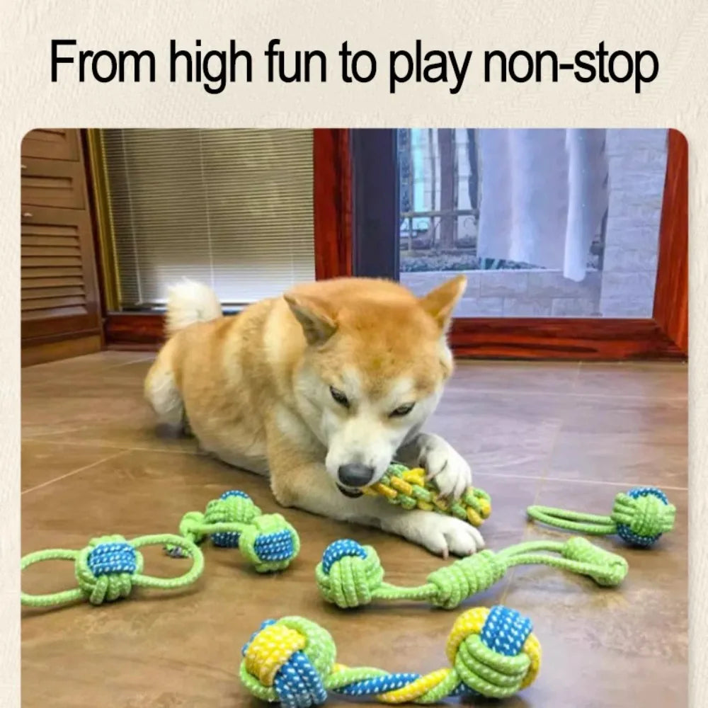A dog toy featuring colorful rope balls and green and yellow braided ropes for chewing and play.