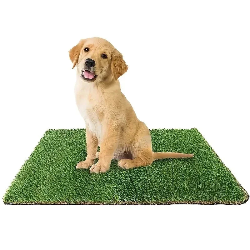 A golden retriever sits on a green artificial grass dog training mat.
