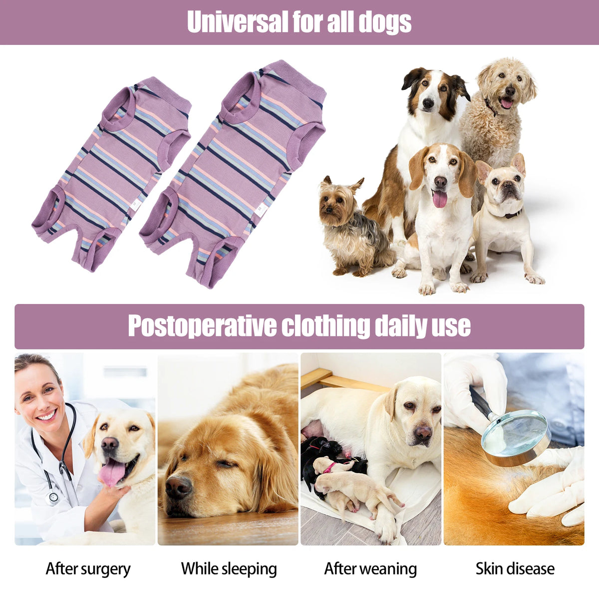 Purple protective recovery suit for dogs shown alongside healthy dogs and various usage scenarios