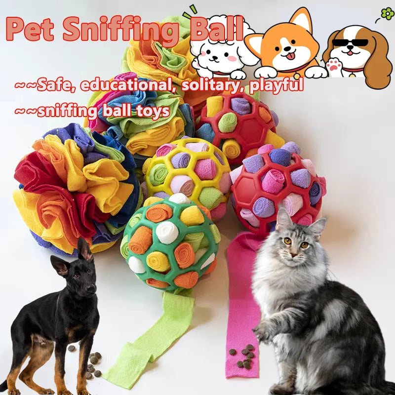 Eine bunte Ansammlung von Spielbällen und -zügen für Haustiere mit einem Hund und einer Katze in der Nähe.