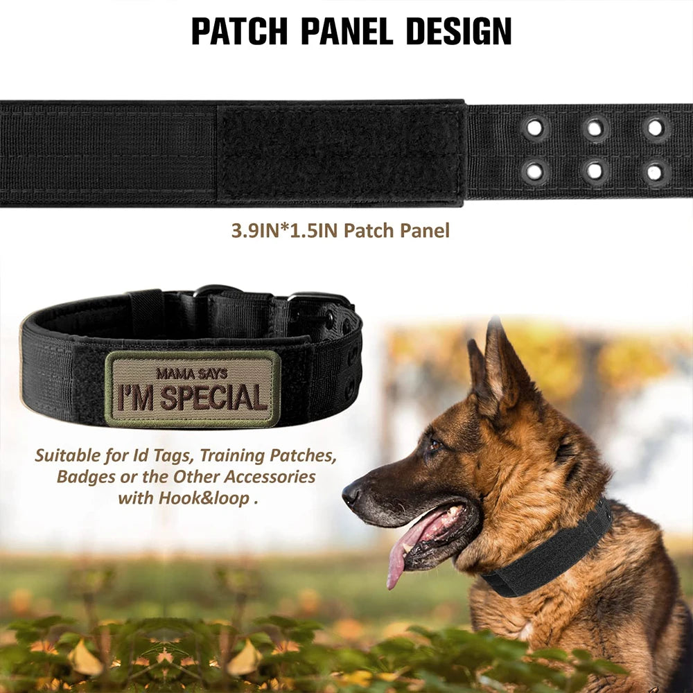 Black tactical nylon dog collar with a metal buckle shown next to a German Shepherd.