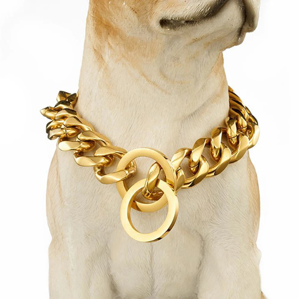Gold stainless steel Cuban link dog collar with a large oval tag displayed on a light-colored dog's neck.
