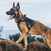 A brown German Shepherd wearing a black tactical dog harness outdoors.