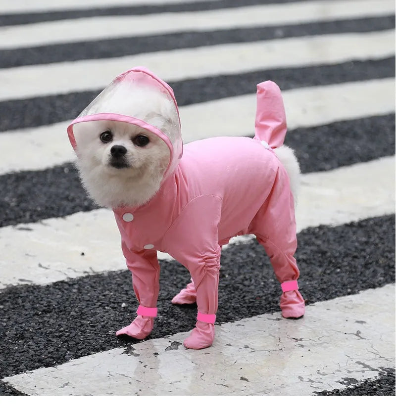 Veste imperméable rose pour traction pour petit chien, debout sur une surface d'asphalte mouillée.