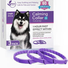 Une boîte de 3 colliers apaisants pour chiens à côté de colliers violets.