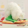 A fluffy white dog toy shaped like a pizza, used as an interactive snuffle book for small dogs.