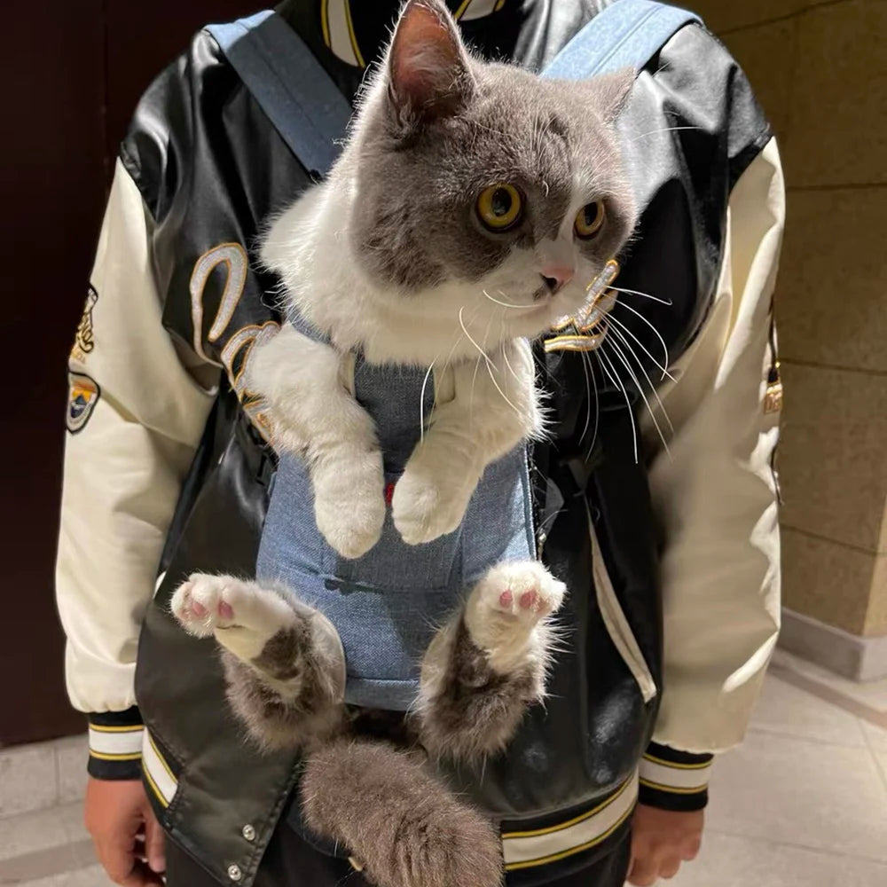 A gray and white cat is being held in a cycling walking pet carrier.