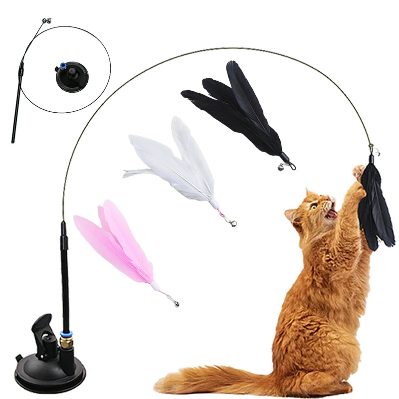 Ein flauschiger, oranger Kater spielt mit einem Federstabspielzeug mit schwarzen, weißen und rosa Federn.