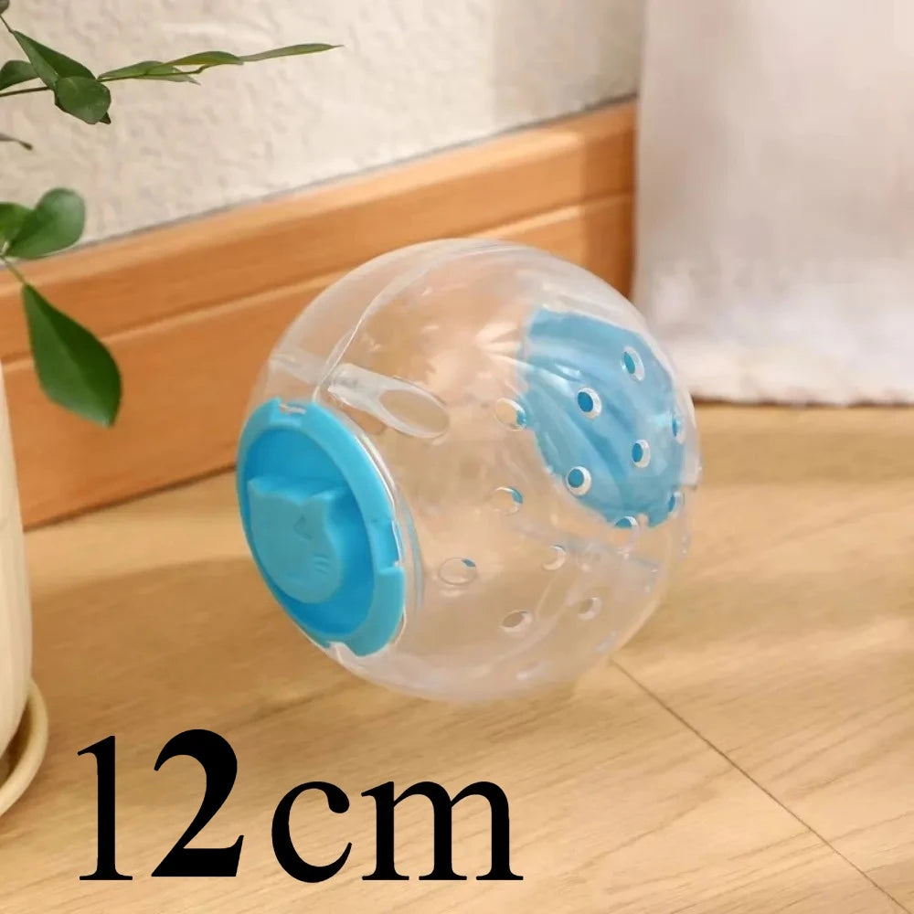 A clear plastic ball with blue accents used for hamster exercise and play.