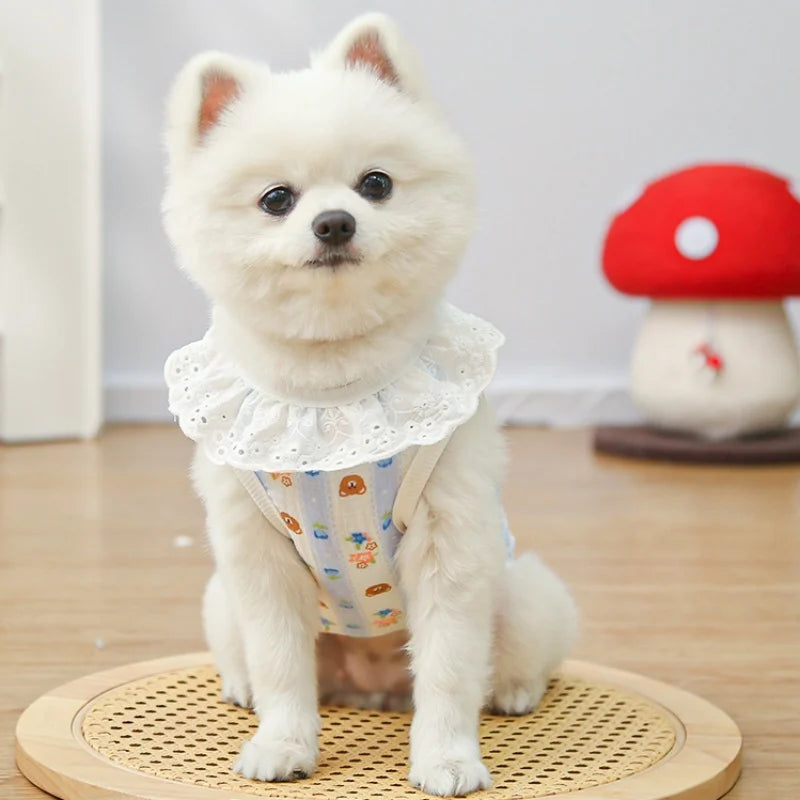 A fluffy white dog wearing a cotton vest with a lace collar and cartoon print, sitting on a wooden mat.