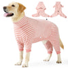 Un golden retriever vistiendo un traje de recuperación invernal de forro rosa y blanco a rayas.