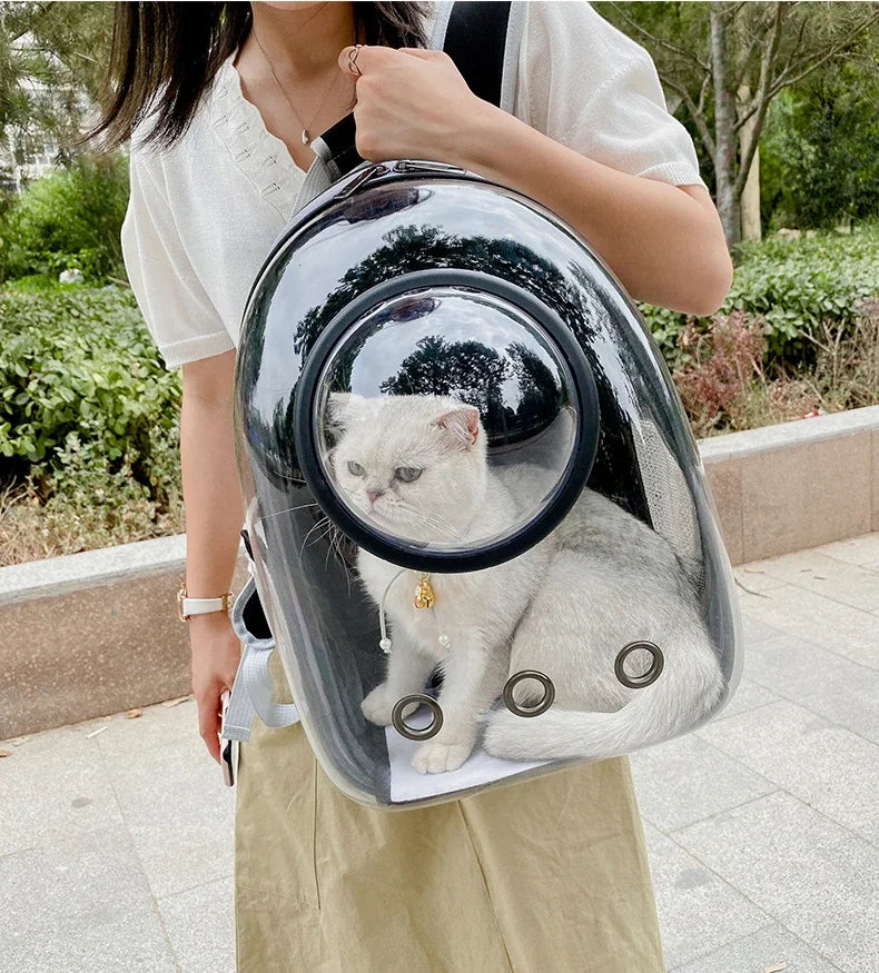 A person holds a transparent pet carrier backpack with a cat inside outdoors.