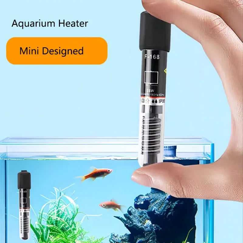 Une main tient une tige de chauffage pour aquarium miniature à côté d'un aquarium en verre contenant des poissons et des plan