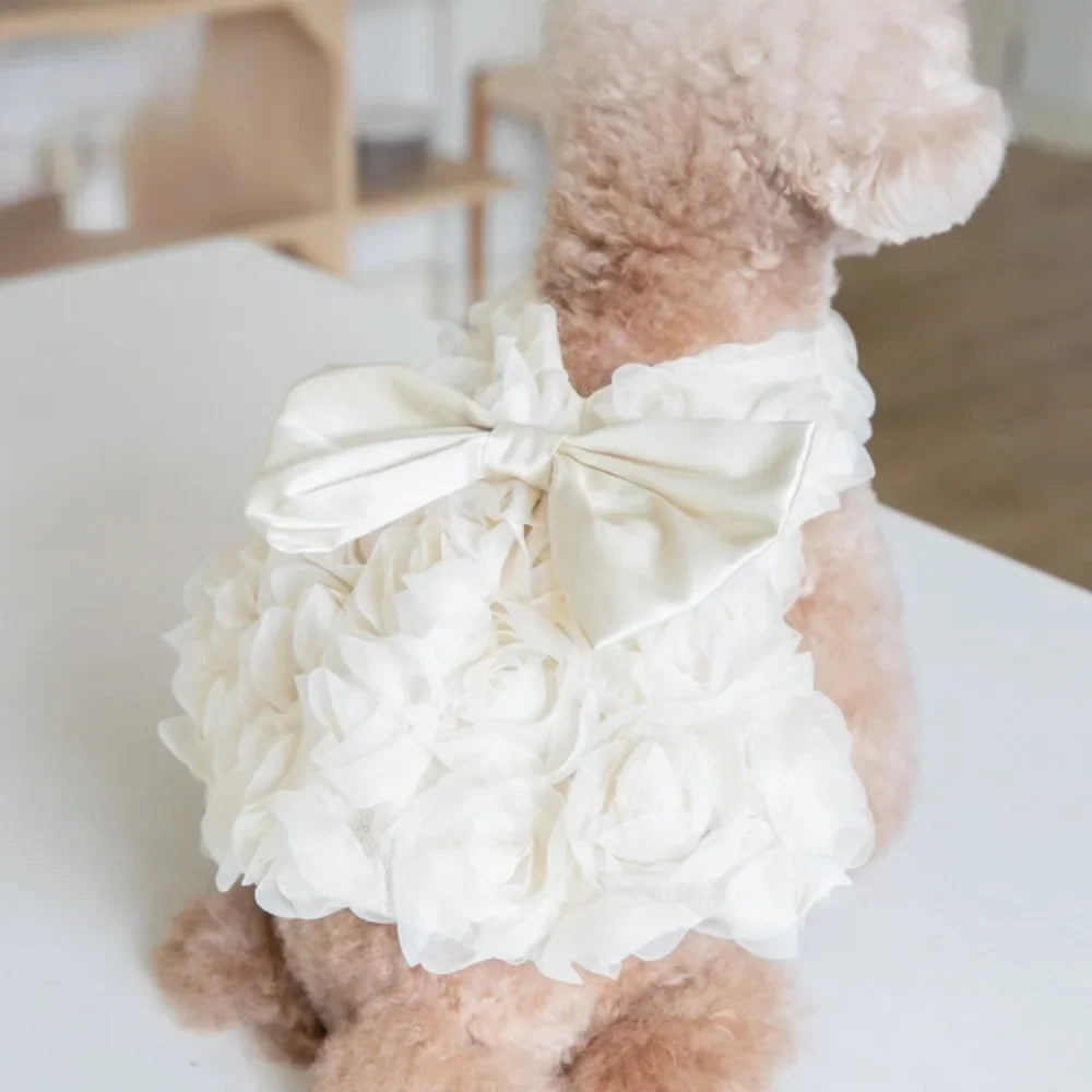 Un perro de color marrón claro y peludo vistiendo un vestido de mascota floral blanco con un lazo.