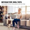 A woman is playing with a dog using hand puppet function interactive dog toys on a couch.