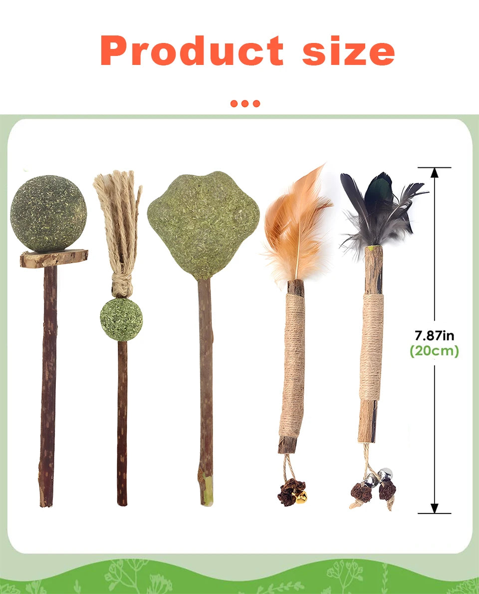 Four natural silvervine cat chew sticks of varying sizes shown next to a ruler for scale.