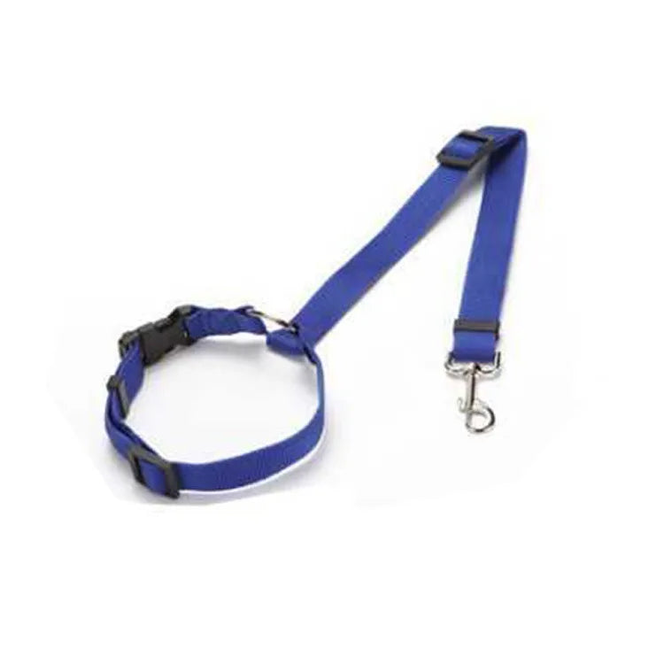 A blue adjustable two-in-one dog harness and leash.