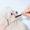 A hand uses a black pet face comb to gently groom the eye area of a white dog.