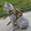A gray tabby cat wearing a tan mesh harness with a red cross patch, sitting on a light-colored surface.