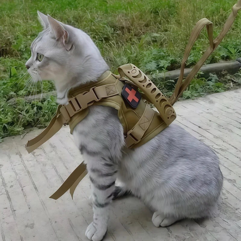 A gray tabby cat wearing a tan mesh harness with a red cross patch, sitting on a light-colored surface.