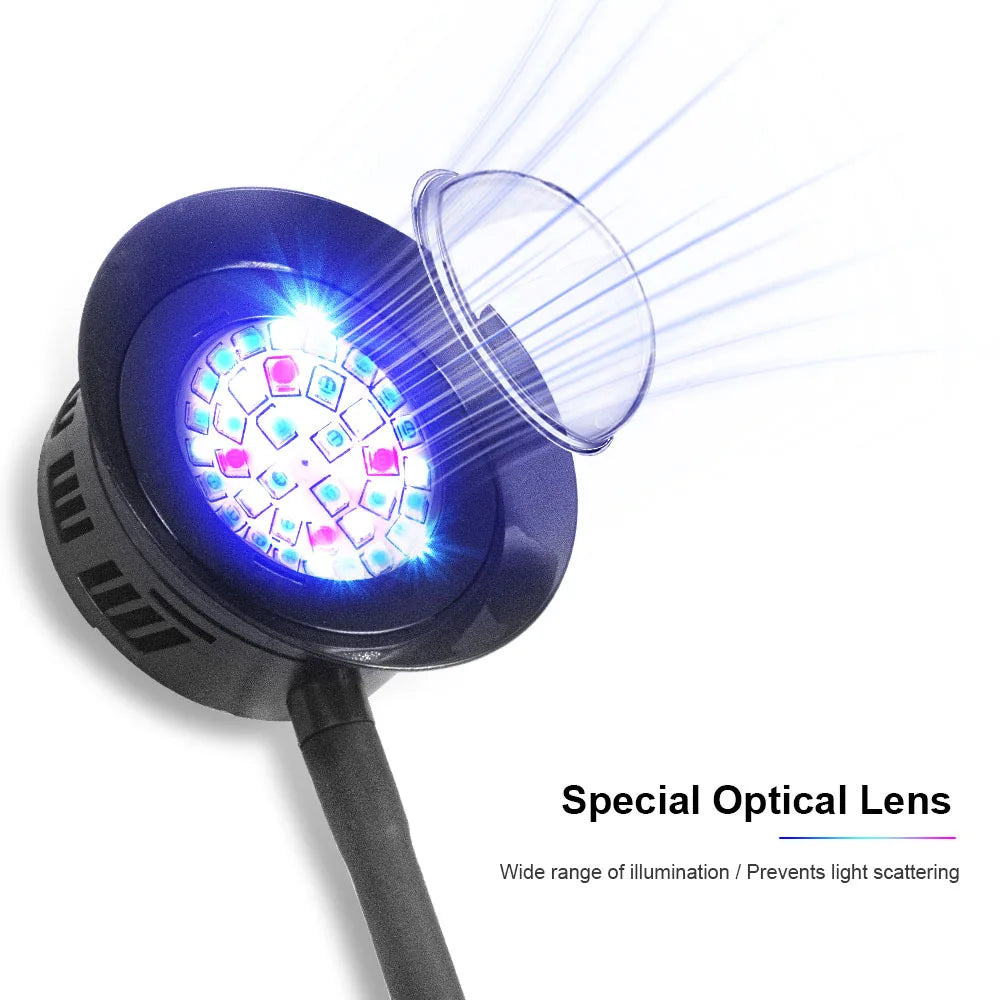 Spezialisierte optische Linsenleuchte, die einen hellen blauen Lichtstrahl für Meerwasseraquarien aussendet.