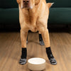 A light brown dog is standing on a wooden floor wearing non-slip socks with extra-thick grips.