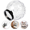 A clear breathable cat muzzle hood is shown in various sizes being used on a cat for grooming and protection.