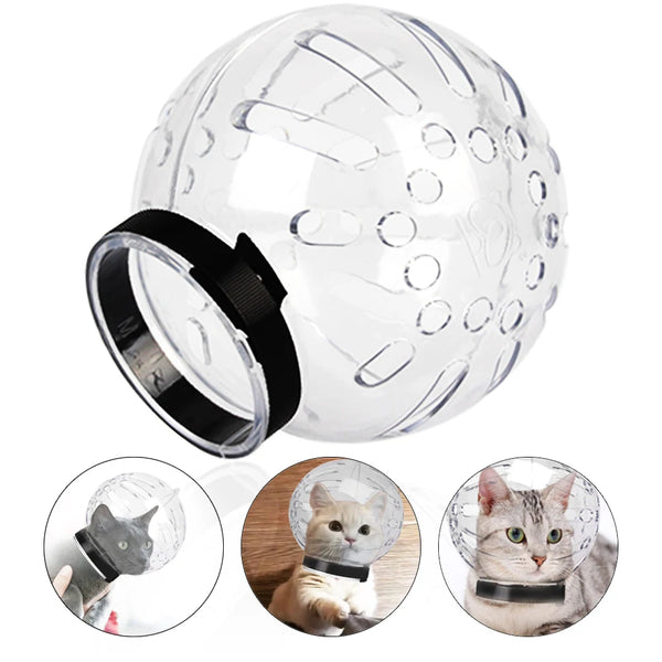 A clear breathable cat muzzle hood is shown in various sizes being used on a cat for grooming and protection.