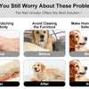 Before and after images showing the use of an electric pet nail grinder for grooming dogs and cats.