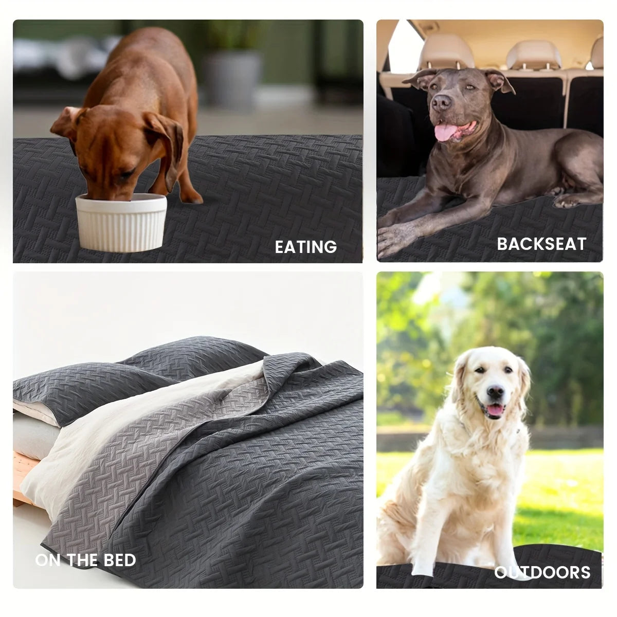 A set of reversible waterproof pet mats shown in various contexts including eating, backseat, on the bed, and outdoors.