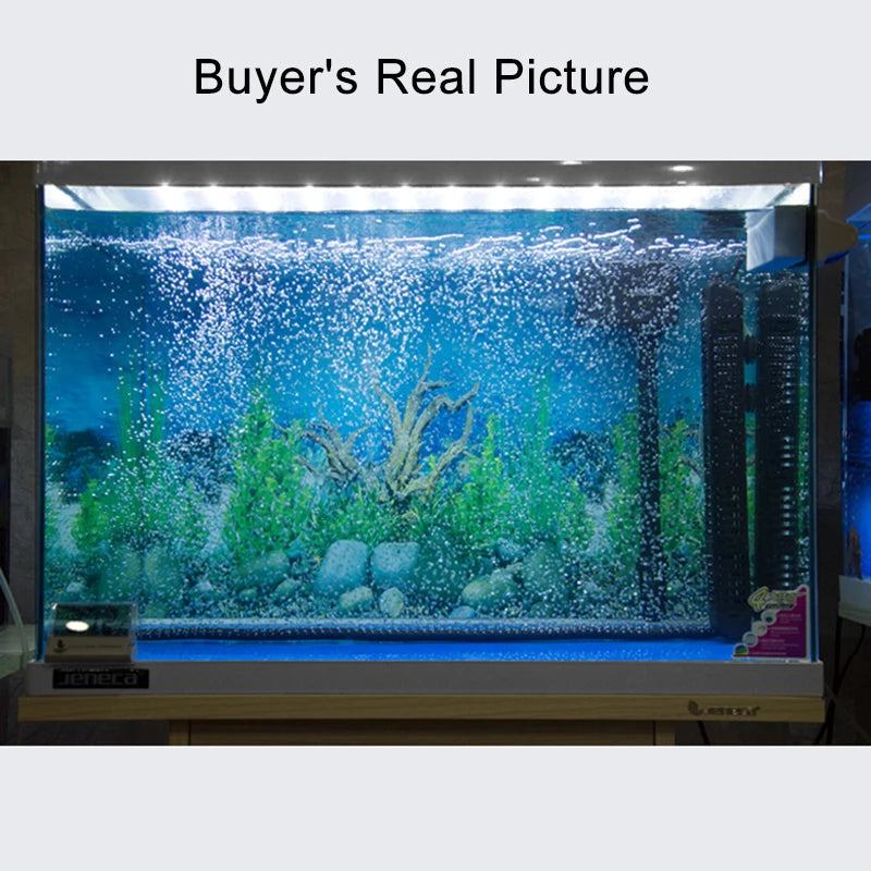 A clear glass aquarium tank filled with blue water featuring green aquatic plants and rocks.